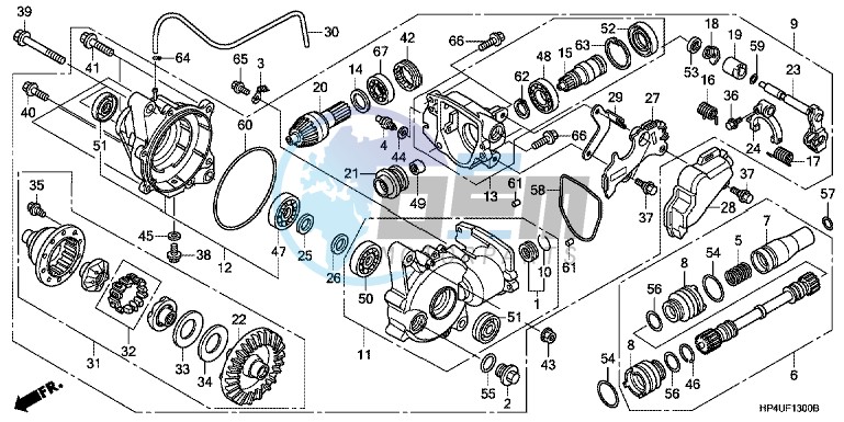 CAM CHAIN/TENSIONER