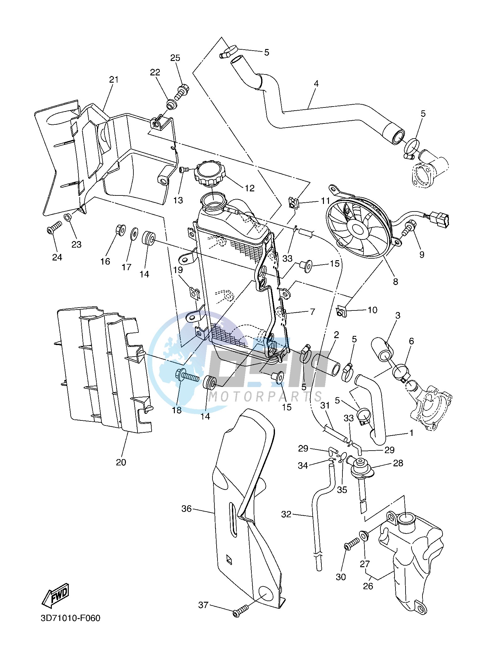 RADIATOR & HOSE