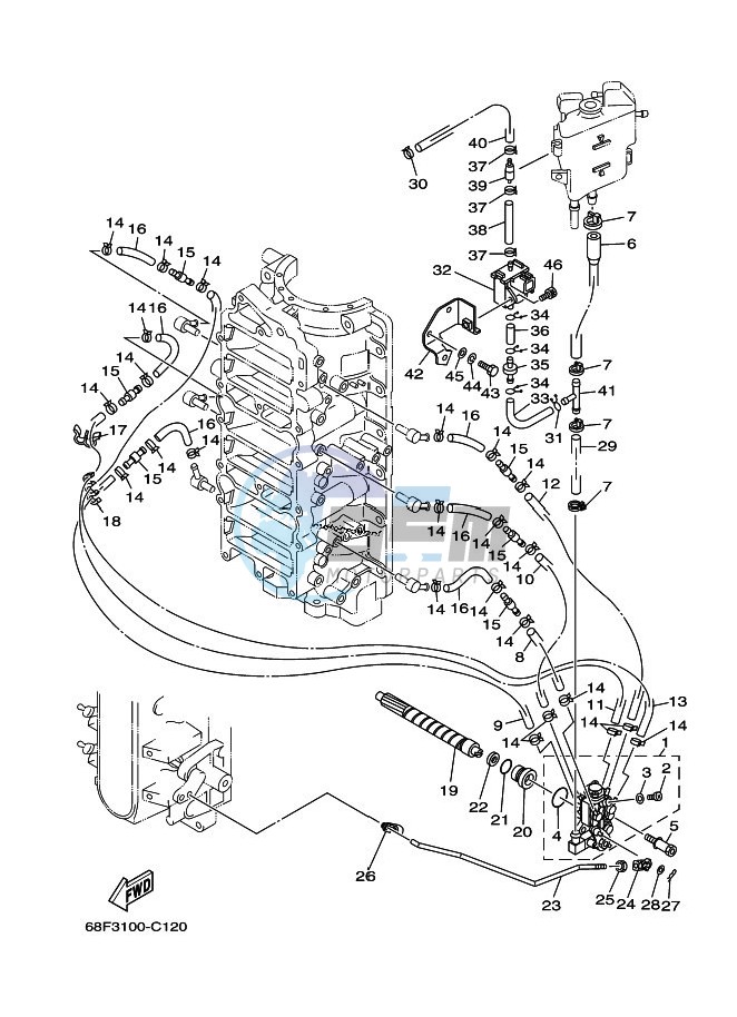 OIL-PUMP