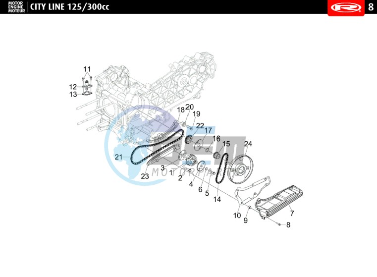 OIL PUMP - DISTRIBUTION CHAIN  125 cc