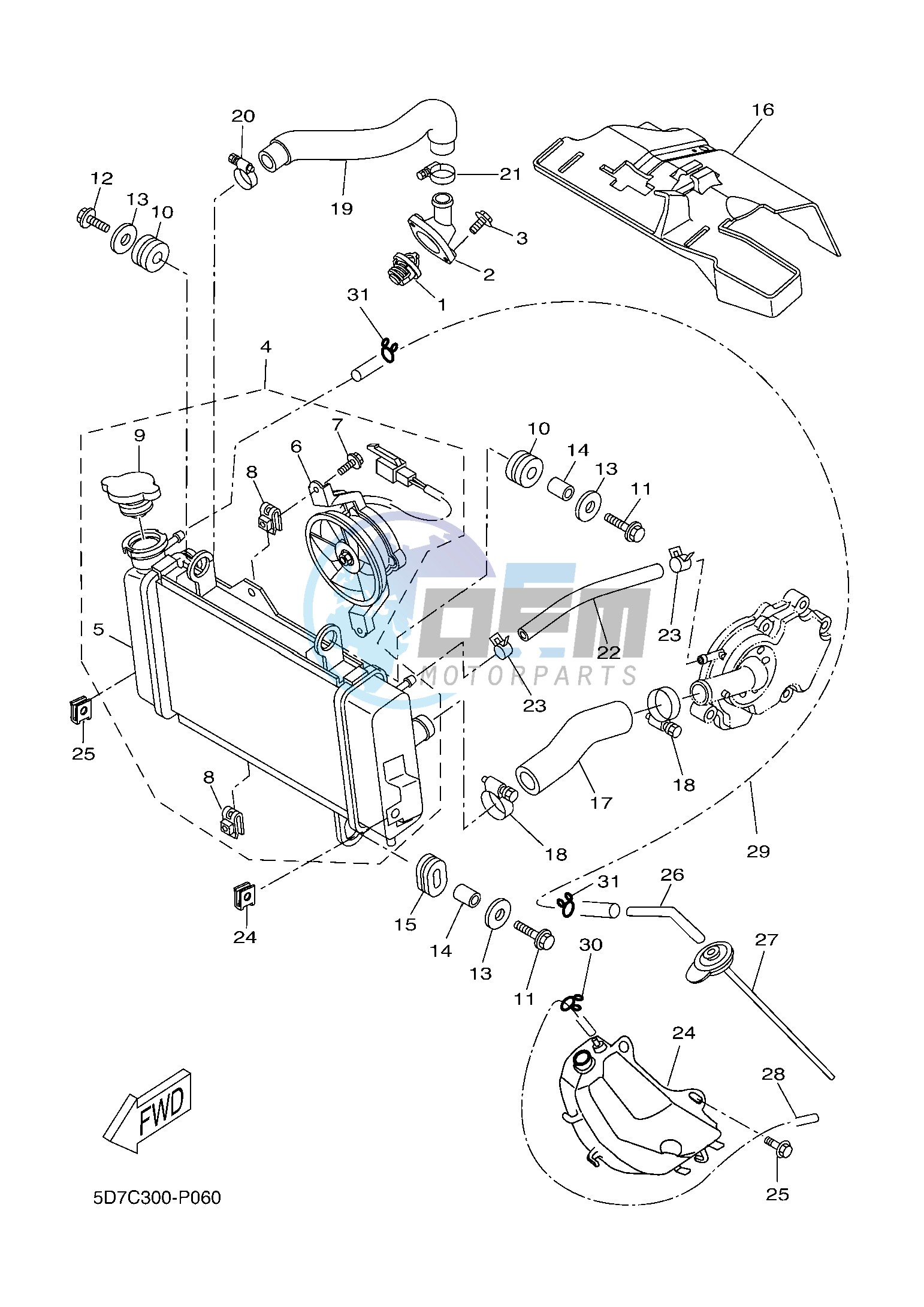 RADIATOR & HOSE