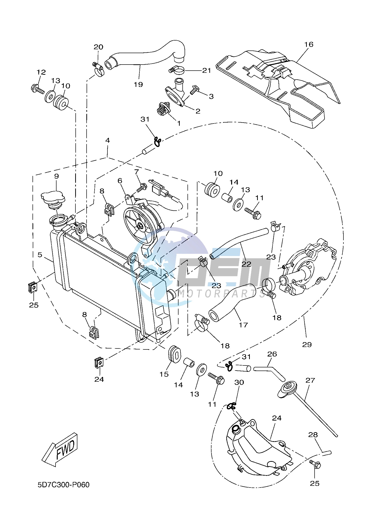 RADIATOR & HOSE