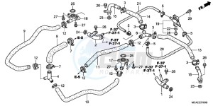 GL1800D GoldWing - GL1800-D UK - (E) drawing WATER PIPE