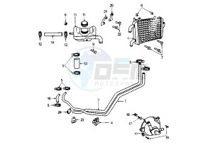 X RACE - 50 cc drawing COOLER