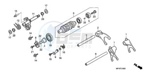 CB1000RAA France - (F / ABS CMF) drawing GEARSHIFT DRUM