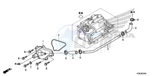 TRX500FA6H Europe Direct - (ED) drawing WATER PUMP COVER