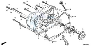 CRF50FD CRF50F Europe Direct - (ED) drawing RIGHT CRANKCASE COVER