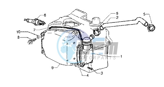 Oil drain valve