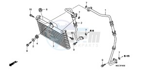 CB1100AD CB1100 ABS UK - (E) drawing OIL COOLER