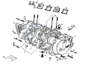 SENDA R - 50 cc drawing CRANKCASE-COVER