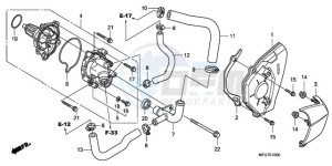 CB600F9 France - (F / CMF) drawing WATER PUMP