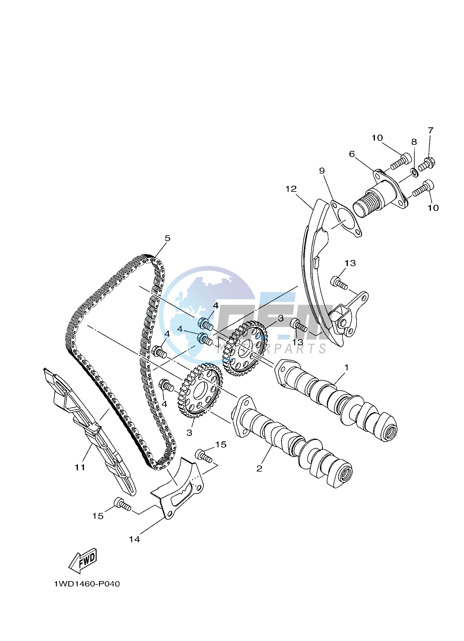 CAMSHAFT & CHAIN