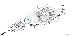 TRX500FM6H Europe Direct - (ED) drawing WATER PUMP COVER