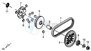 X'PRO 50 (25 KMH) (AE05W5-NL) (L4-M1) drawing DRIVEN PULLEY / DRIVING - V-BELT