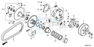 WW125EX2C drawing DRIVEN FACE