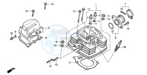 TRX350FM RANCHER 4X4 drawing CYLINDER HEAD