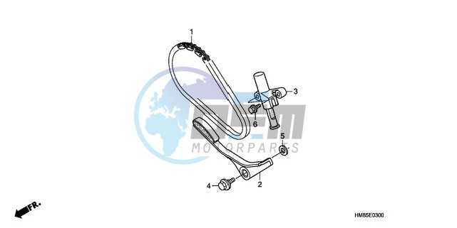 CAM CHAIN/TENSIONER