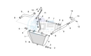 Tuono V4 1100 RR (USA-CND) USA-CND drawing Oil radiator