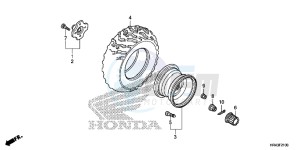 TRX500FE2F TRX500F Europe Direct - (ED) drawing REAR WHEEL