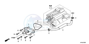 TRX420FEC drawing WATER PUMP COVER