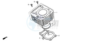 TRX300 FOURTRAX 300 drawing CYLINDER