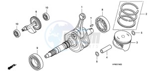 TRX420FPMA U / PS 4WD drawing CRANK SHAFT/PISTON