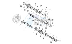 Pegaso Strada-Trail 650 ie drawing Gear box