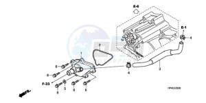 TRX420FEA Europe Direct - (ED / 4WD) drawing WATER PUMP COVER