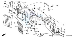 CRF450RB drawing RADIATOR