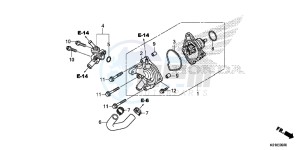 SH125E SH125 E drawing WATER PUMP