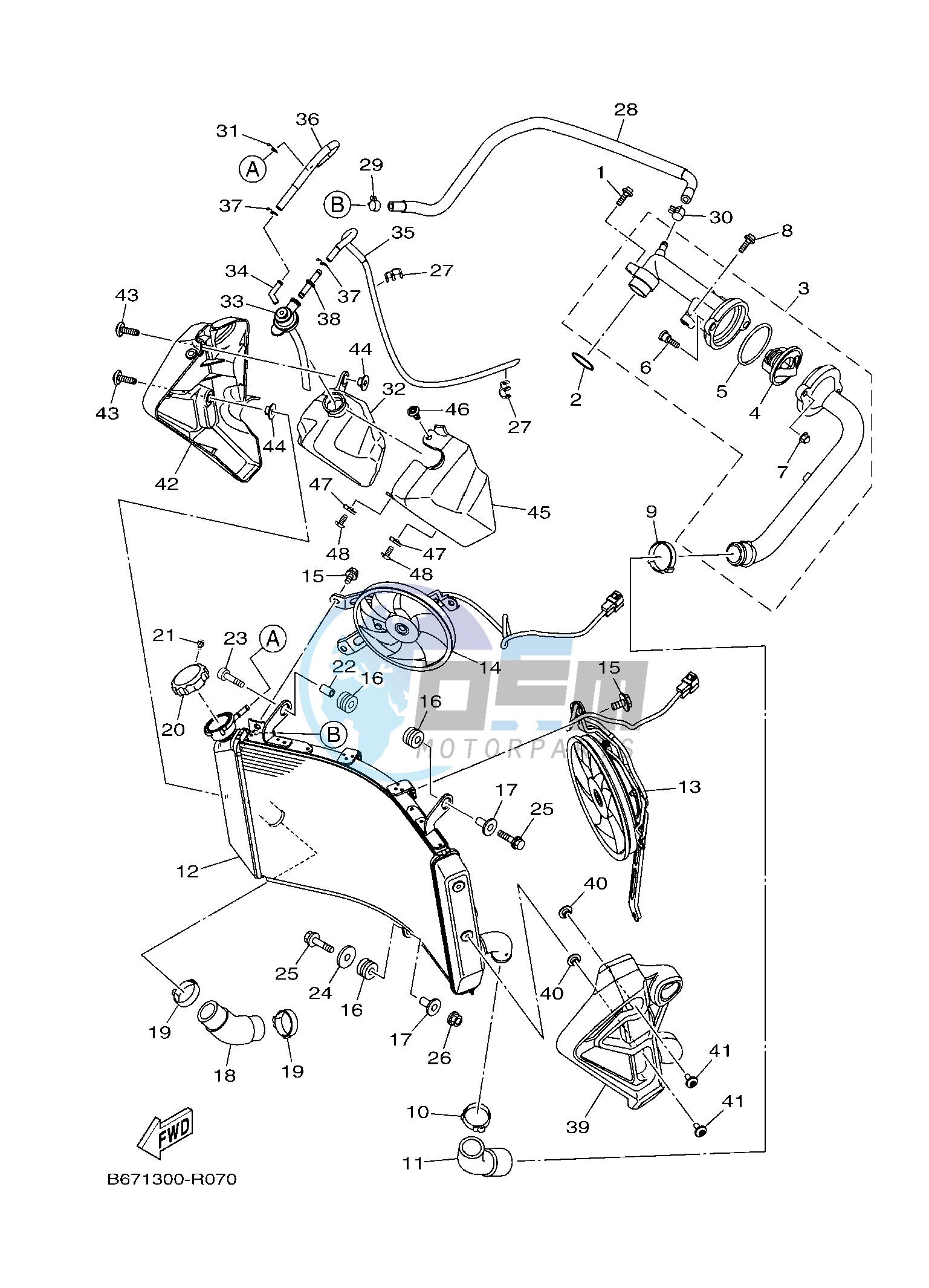 RADIATOR & HOSE