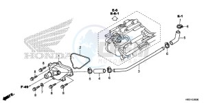 TRX420FA1H TRX420 ED drawing WATER PUMP COVER