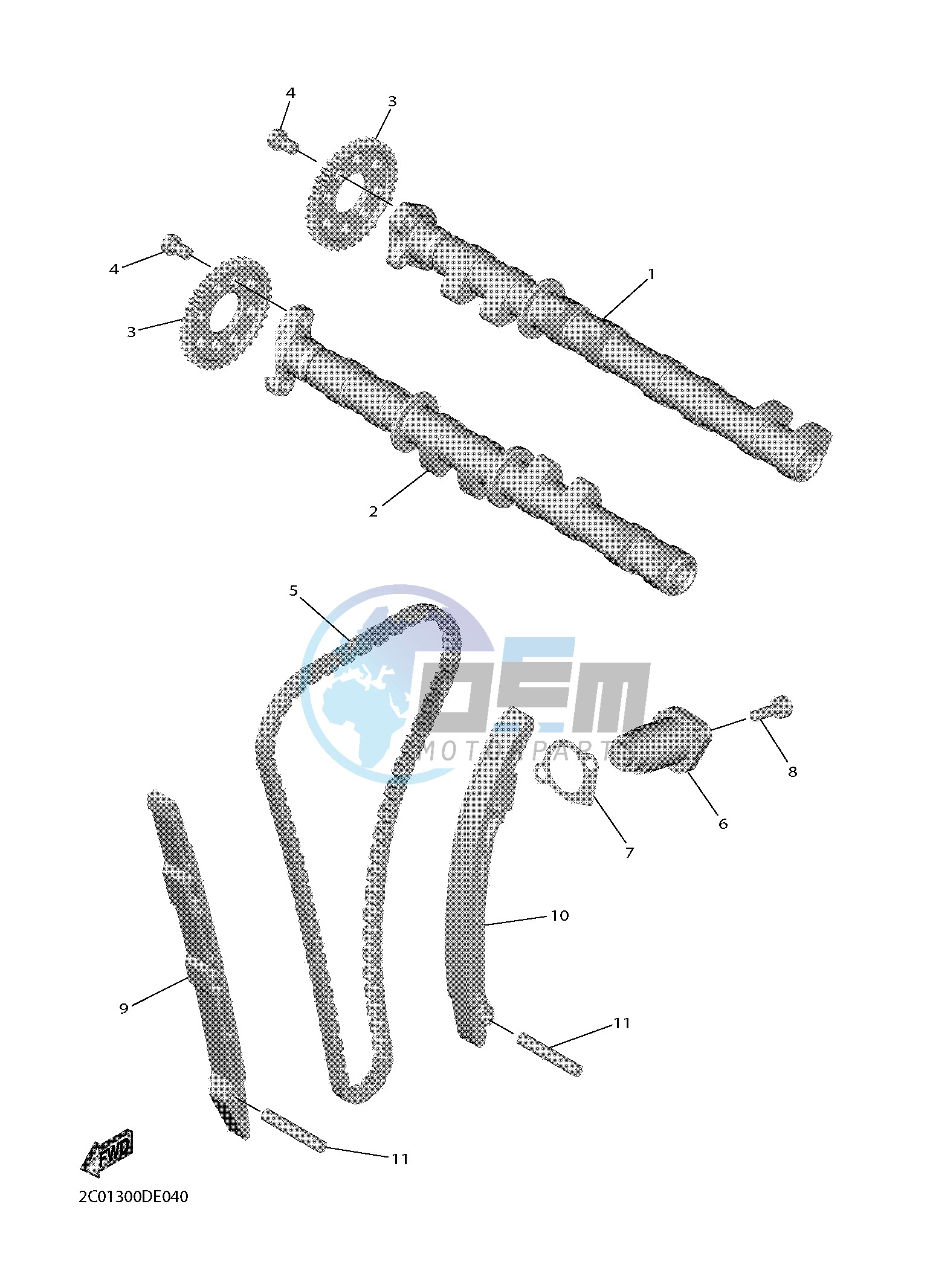 CAMSHAFT & CHAIN