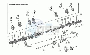 V 10 1000 Centauro Centauro drawing Driven shaft