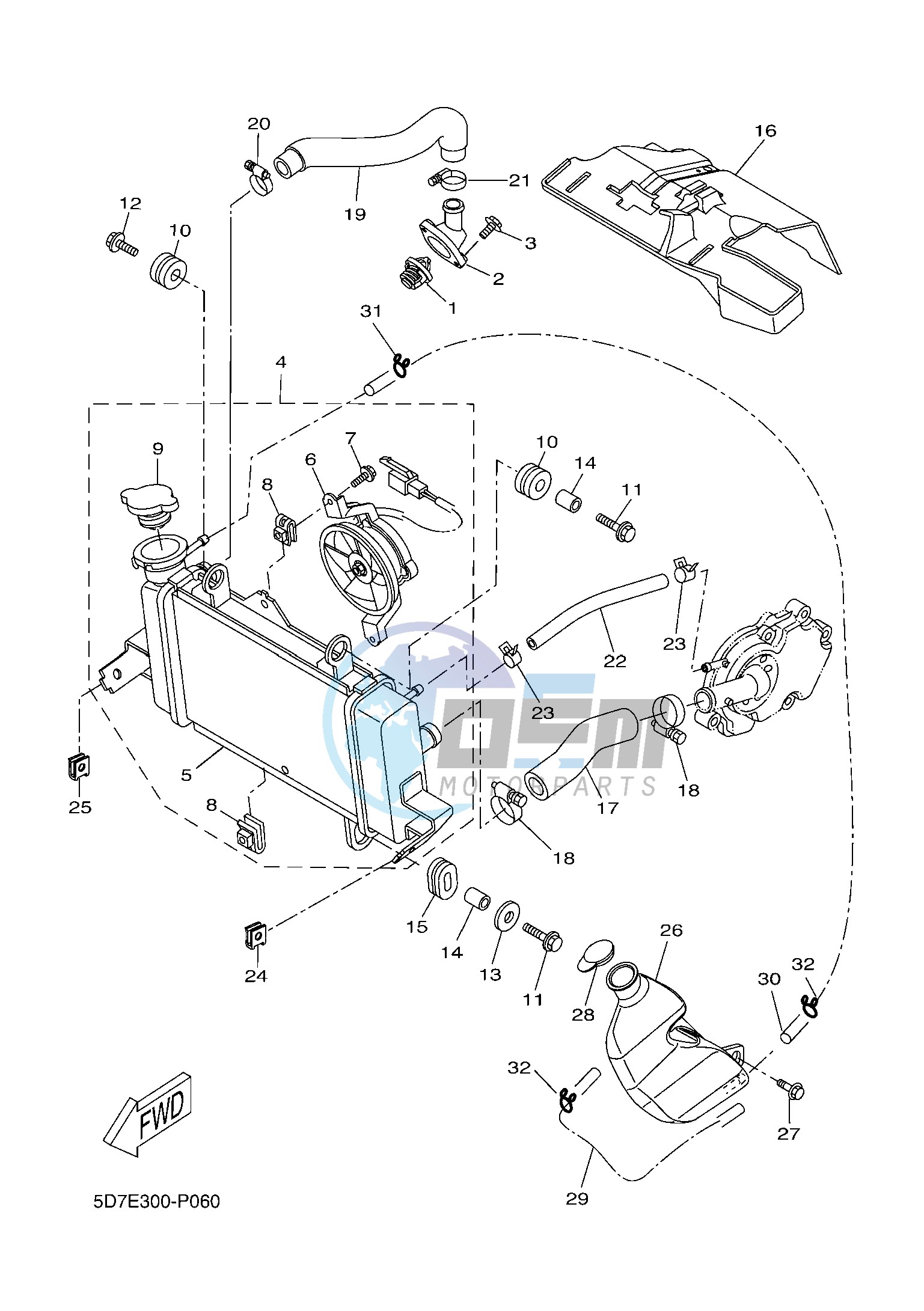 RADIATOR & HOSE