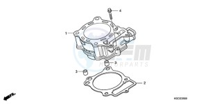 CRF150RB9 Australia - (U) drawing CYLINDER