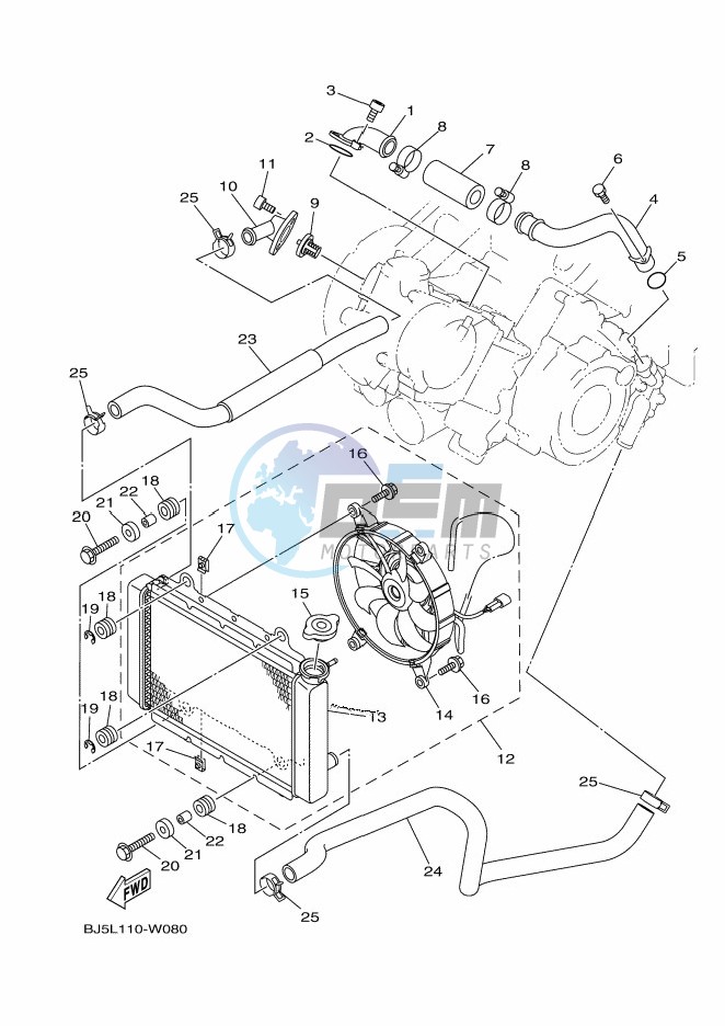 RADIATOR & HOSE