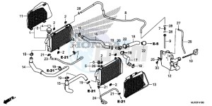 GL1800CF F6C ED drawing RADIATOR