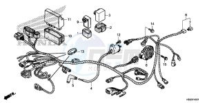 TRX250TEG TRX250T Europe Direct - (ED) drawing WIRE HARNESS (TRX250TE)