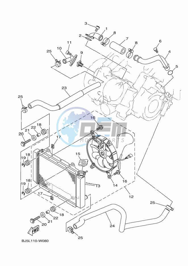 RADIATOR & HOSE