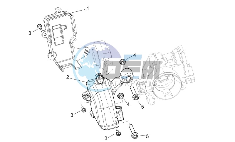 Throttle body Protection