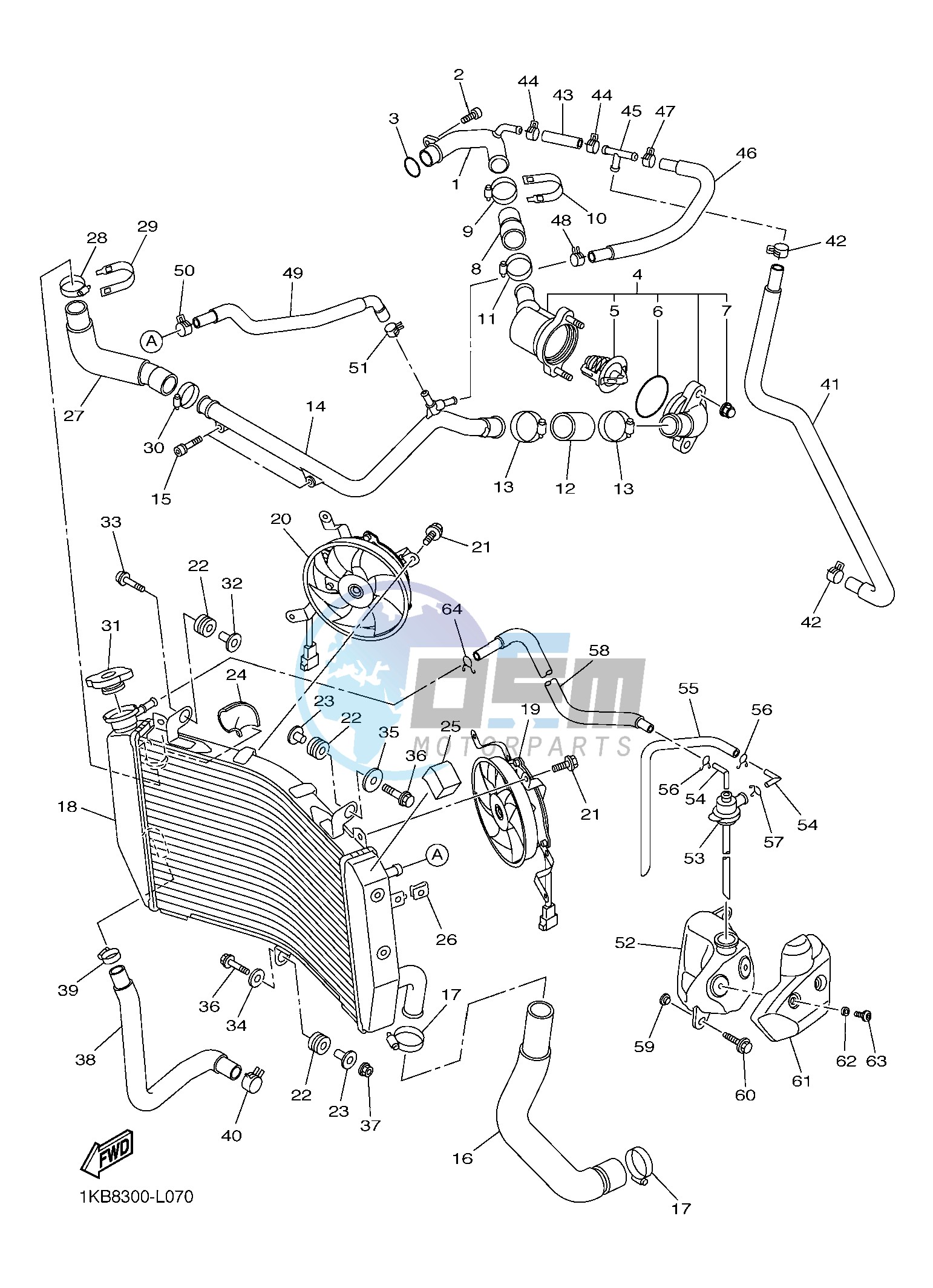 RADIATOR & HOSE