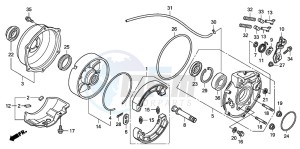 TRX420FE FOURTRAX ES drawing REAR BRAKE PANEL