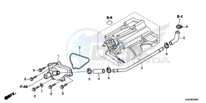 TRX500FM6G TRX680 Europe Direct - (ED) drawing WATER PUMP COVER