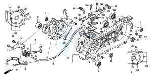 SFX50SMM drawing CRANKCASE/OIL PUMP