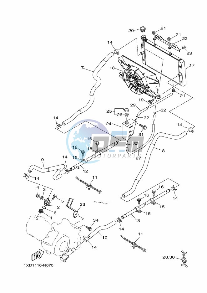 RADIATOR & HOSE