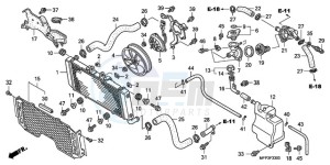 CB1300S9 Australia - (U / BCT MME TWO TY2) drawing RADIATOR (CB1300/CB1300S)