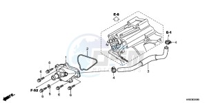 TRX500FMD TRX500FM Europe Direct - (ED) drawing WATER PUMP COVER