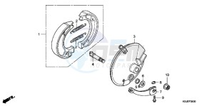 CRF100FB drawing FRONT BRAKE PANEL