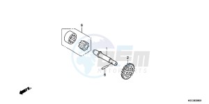 CRF250XB CRF250X ED drawing OIL PUMP